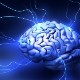 The Cognitive Functions Test The Cognitive Functions Test Image