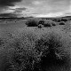 The Existential Loneliness Test The Existential Loneliness Test Image