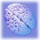 The Left Brain Deformity Test The Left Brain Deformity Test Image