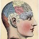 The Memory Downfall Test The Memory Downfall Test Image