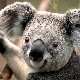 The Random Test Test The Random Test Test Image