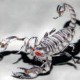 the do you have what it takes to date a scorpio quiz the do you have what it takes to date a scorpio quiz Image